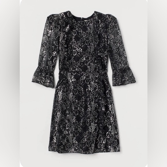 ❤️THE VAMPIRE'S WIFE X H&M MYSTIQUE LACE RUFFLE MINI DRESS BLACK SILVER SIZE S - Picture 5 of 12